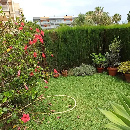 Agradable En Marinas * Дения